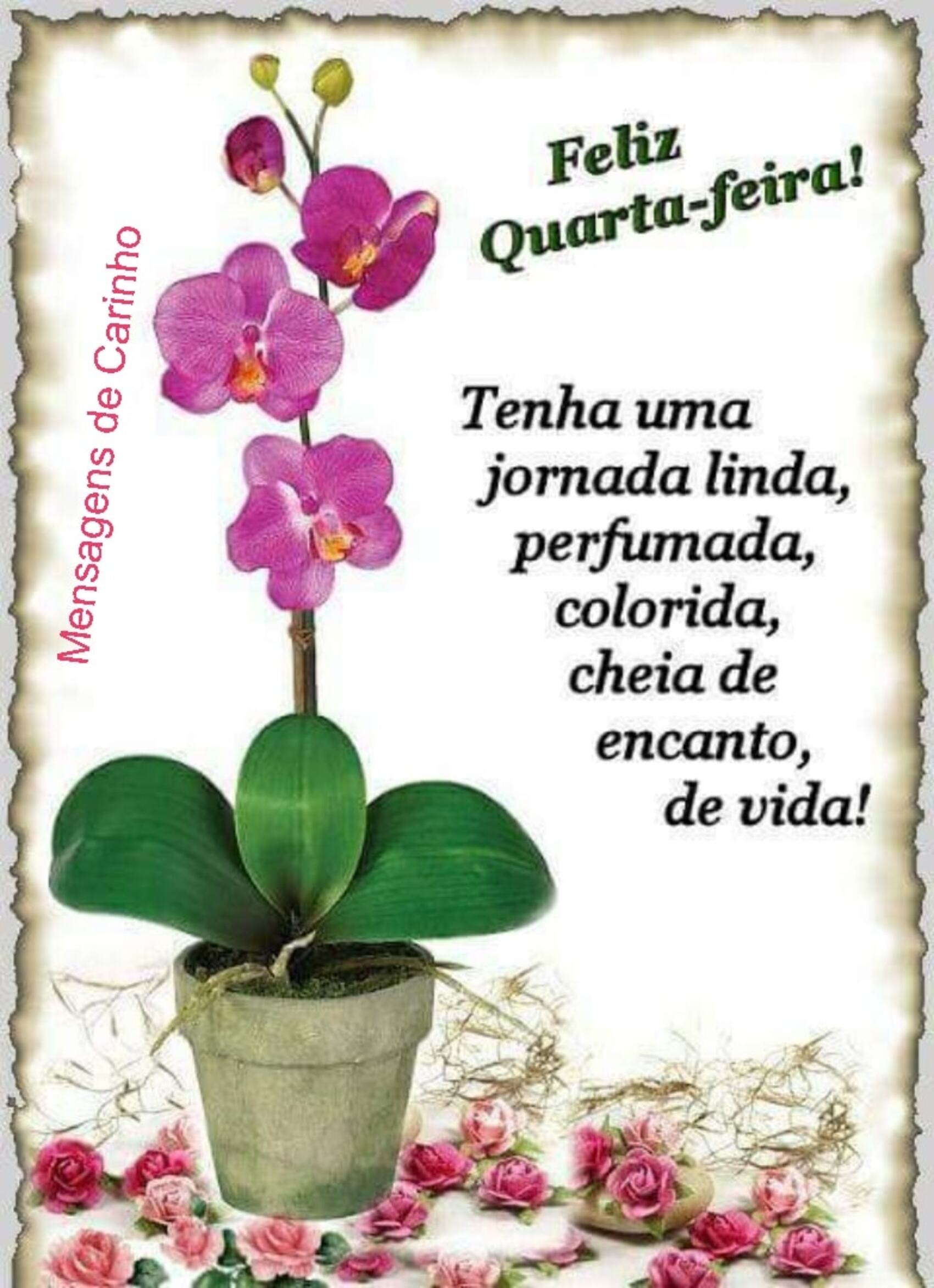 Bom Dia E Feliz Quarta Feira Amigos Prahoje Net