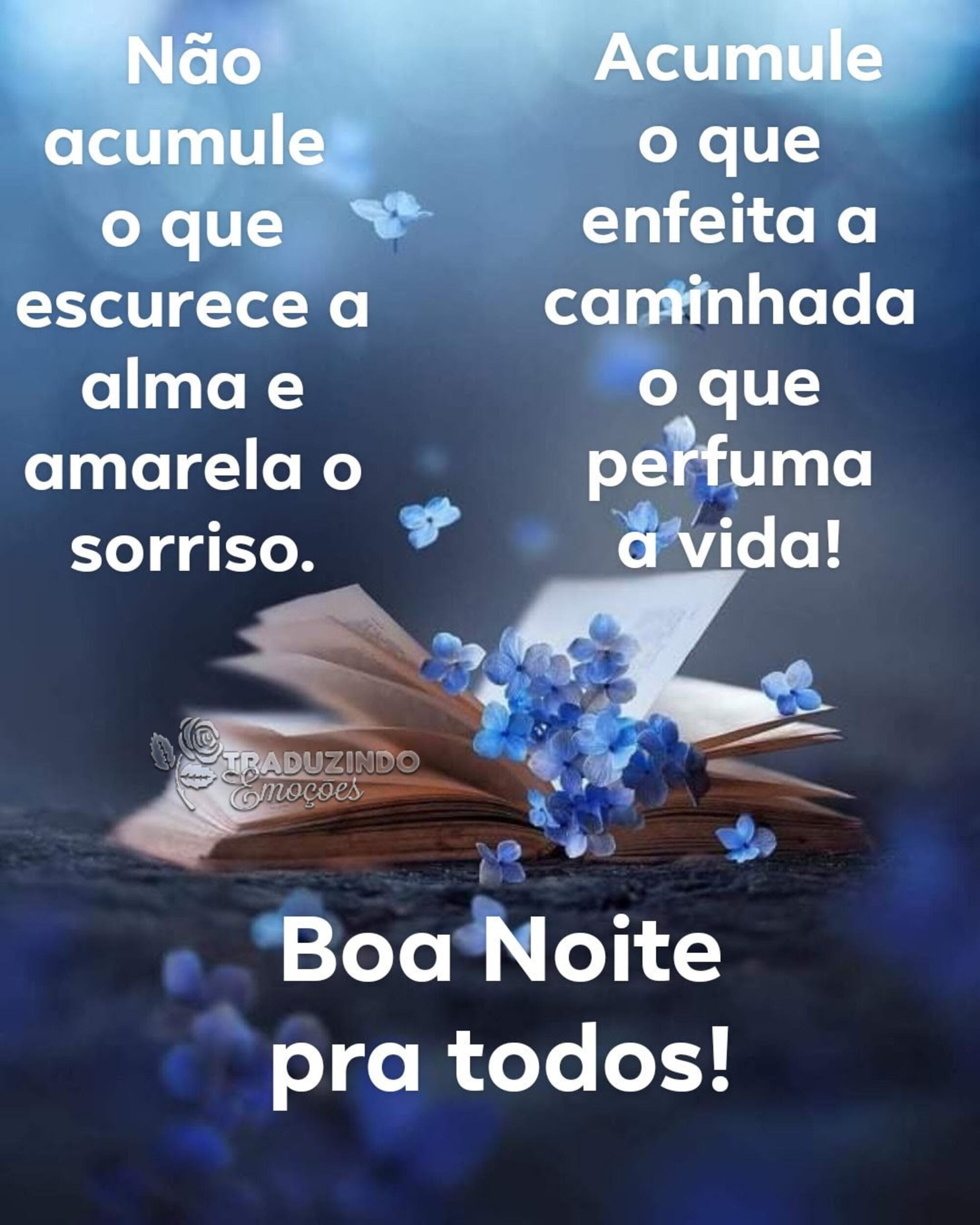 Mensagens De Boa Noite Pra Whatsapp Prahoje Net