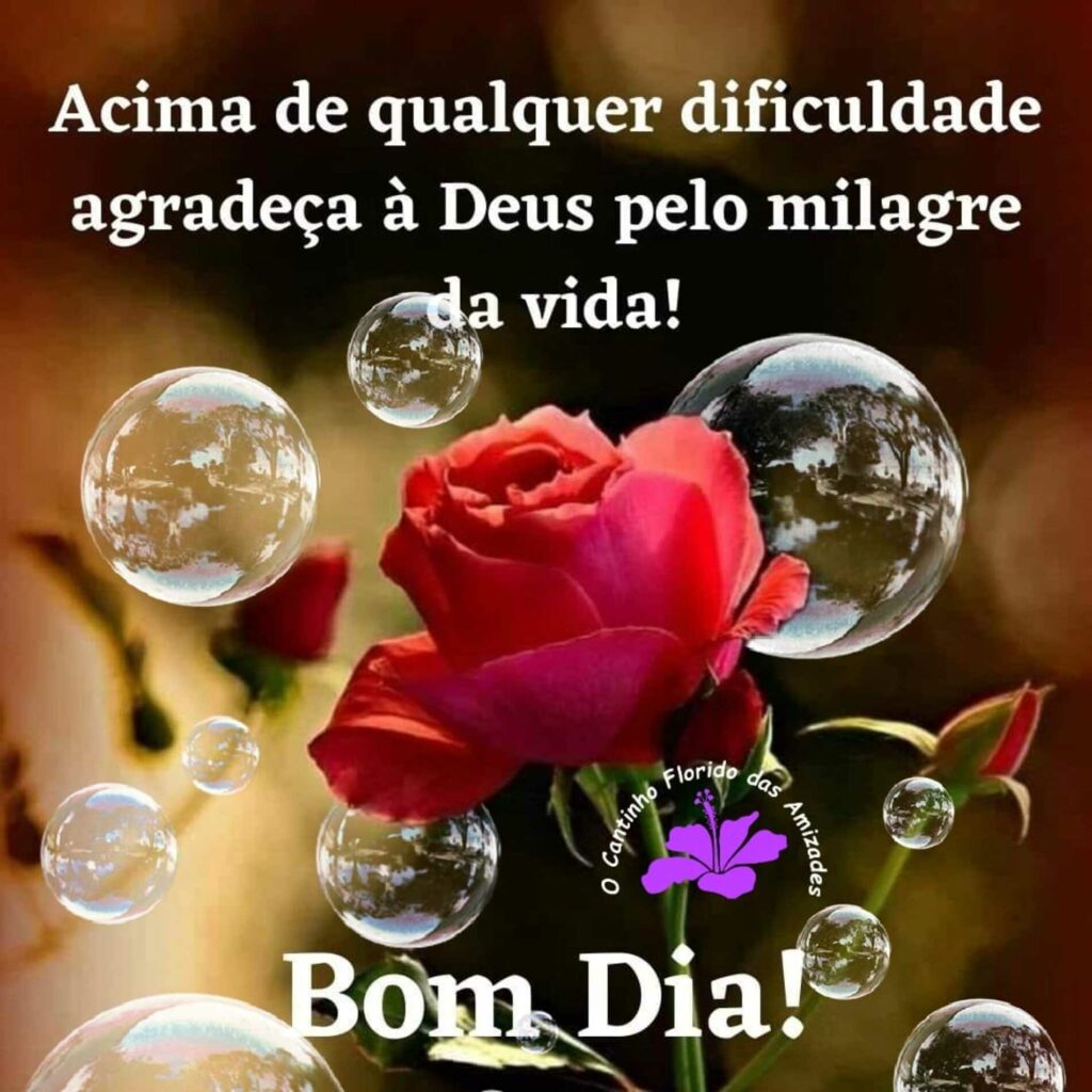 Acima de qualquer dificuldade agradeça à Deus pelo milagre da vida! Bom Dia!