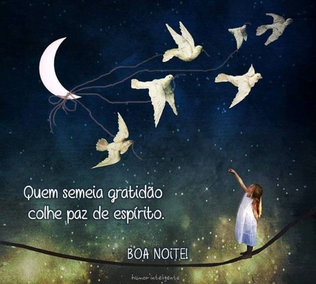 Quem semeia gratidão colhe paz de espírito. BOA NOITE!