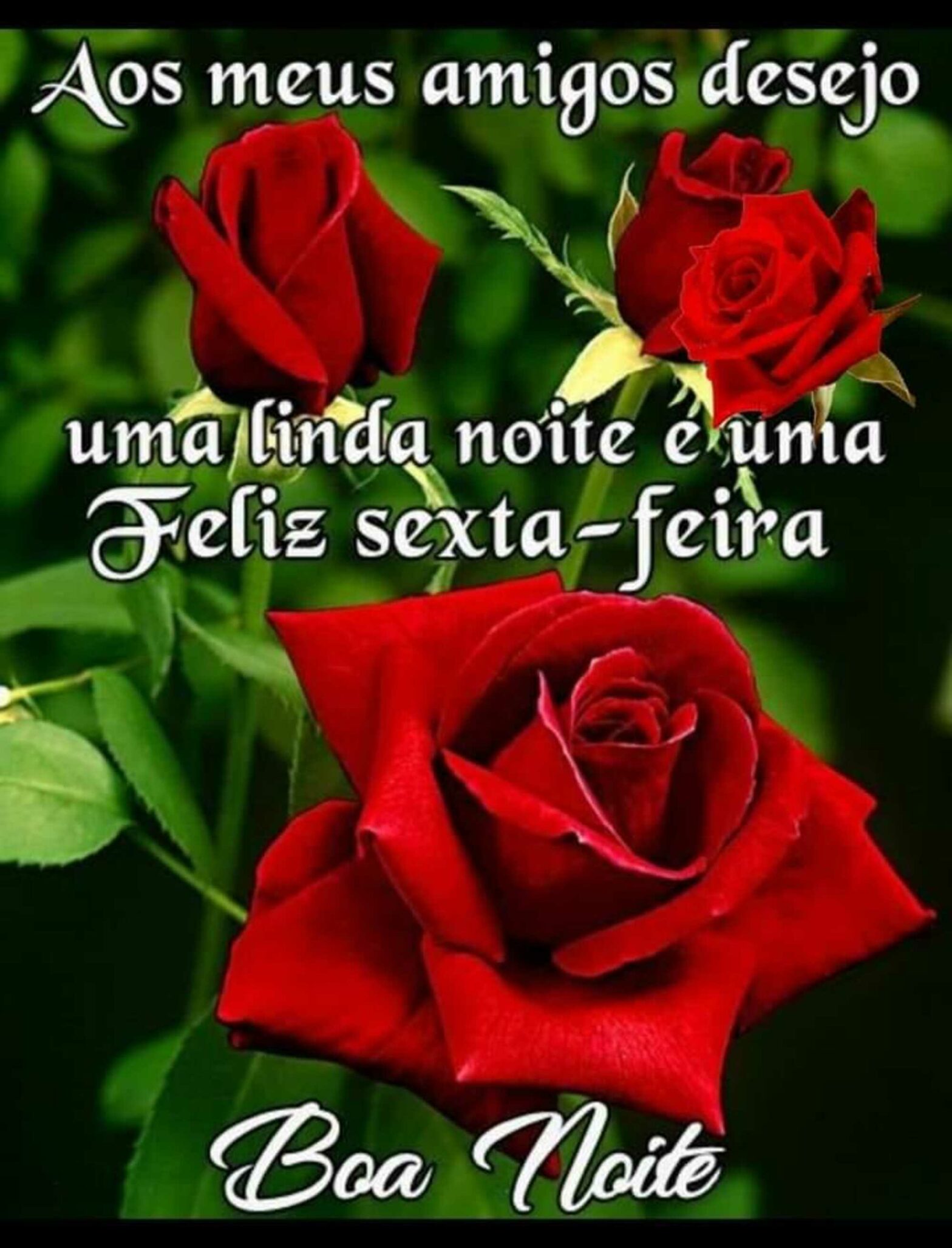 25 Imagens E Frases Para Boa Noite