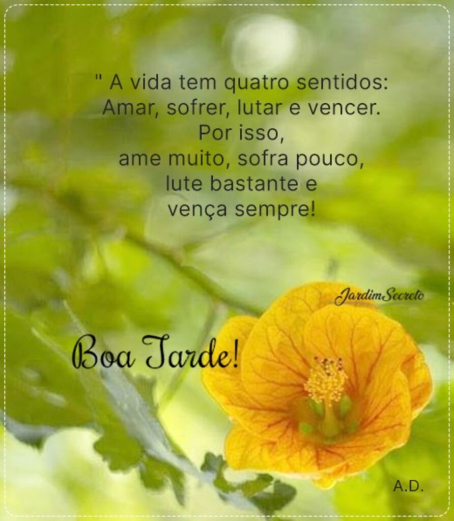 "A vida tem quatro sentidos: Amar, sofrer, lutar e vencer. Por isso, ame muito, sofra pouco, lute bastante e vença sempre!" Boa Tarde!