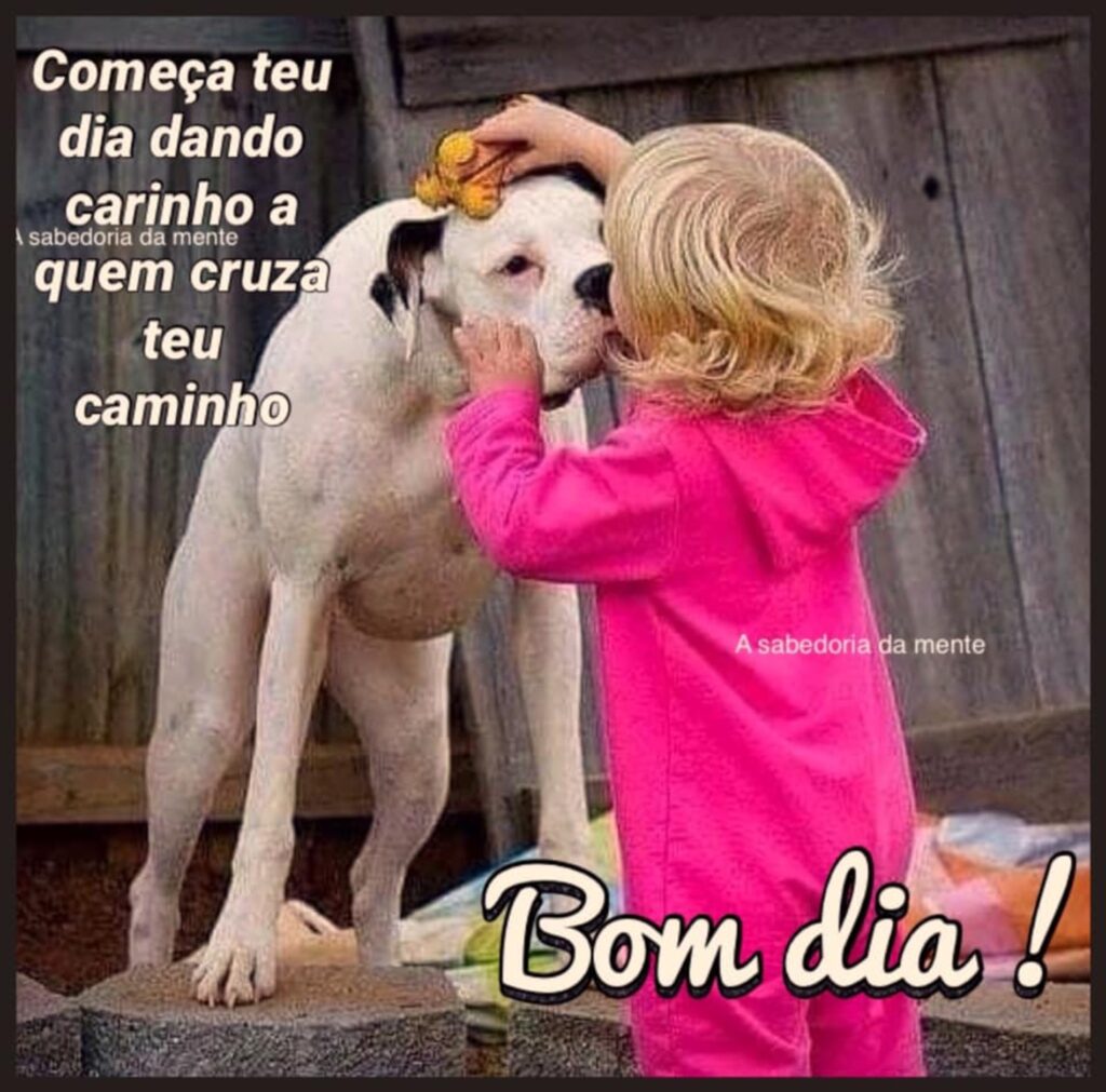 Começa teu dia dando carinho a quem cruza teu caminho. Bom Dia! (A sabedoria da mente)