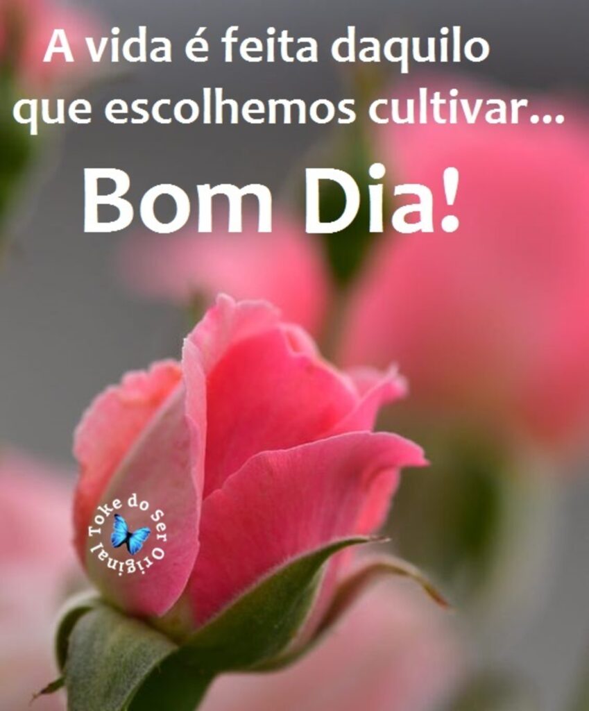 A vida é feita daquilo que escolhemos cultivar... Bom Dia!