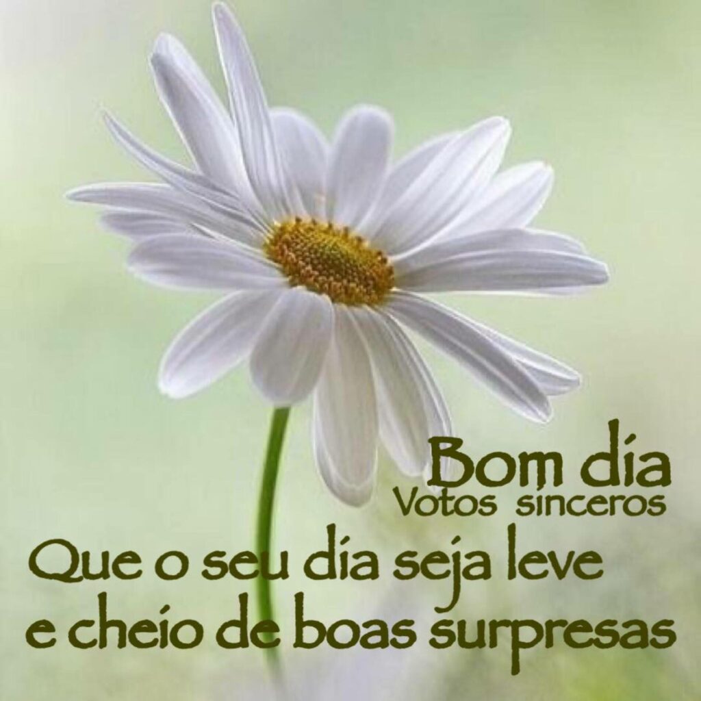 Bom dia. Que o seu dia seja leve e cheio de boas surpresas!