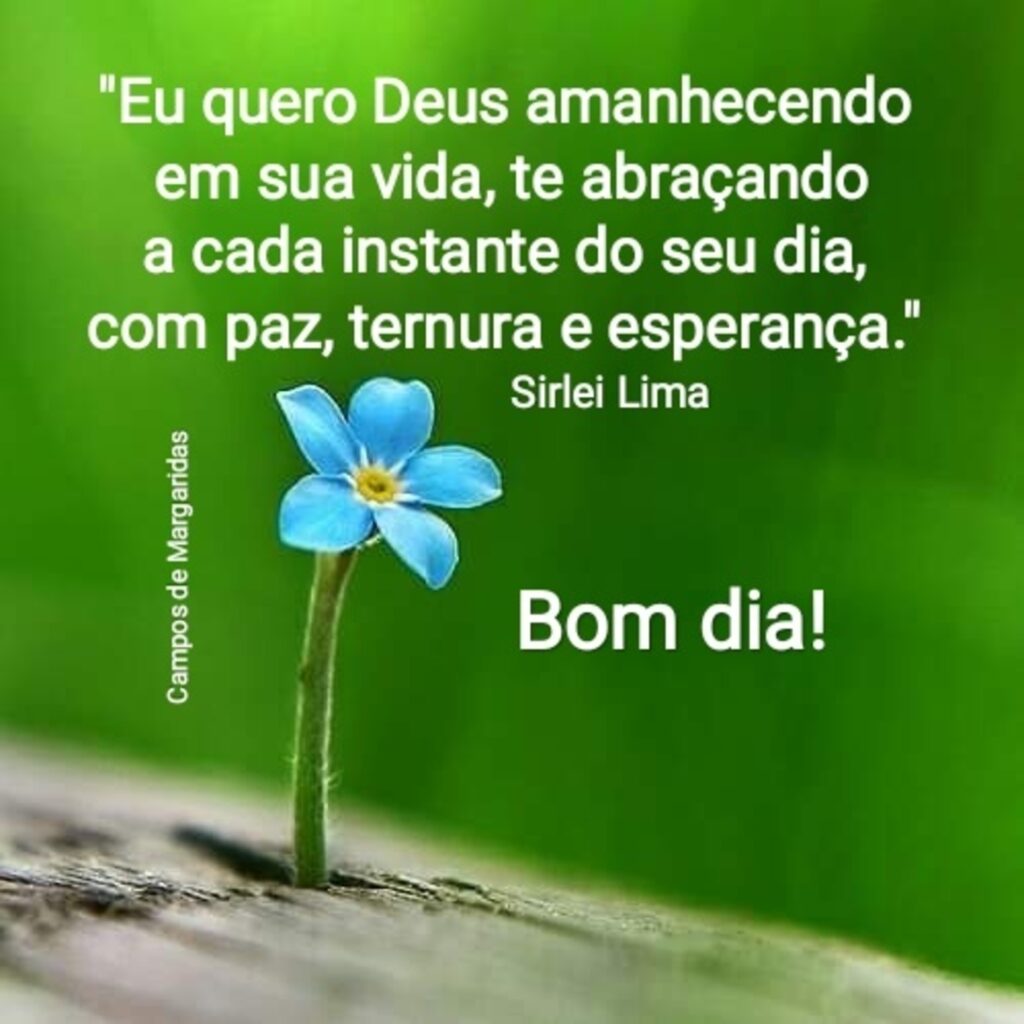 "Eu quero Deus amanhacendo em sua vida, te abraçando a cada instante do seu dia, com paz, ternura e esperança." - Sirlei Lima - Bom Dia!