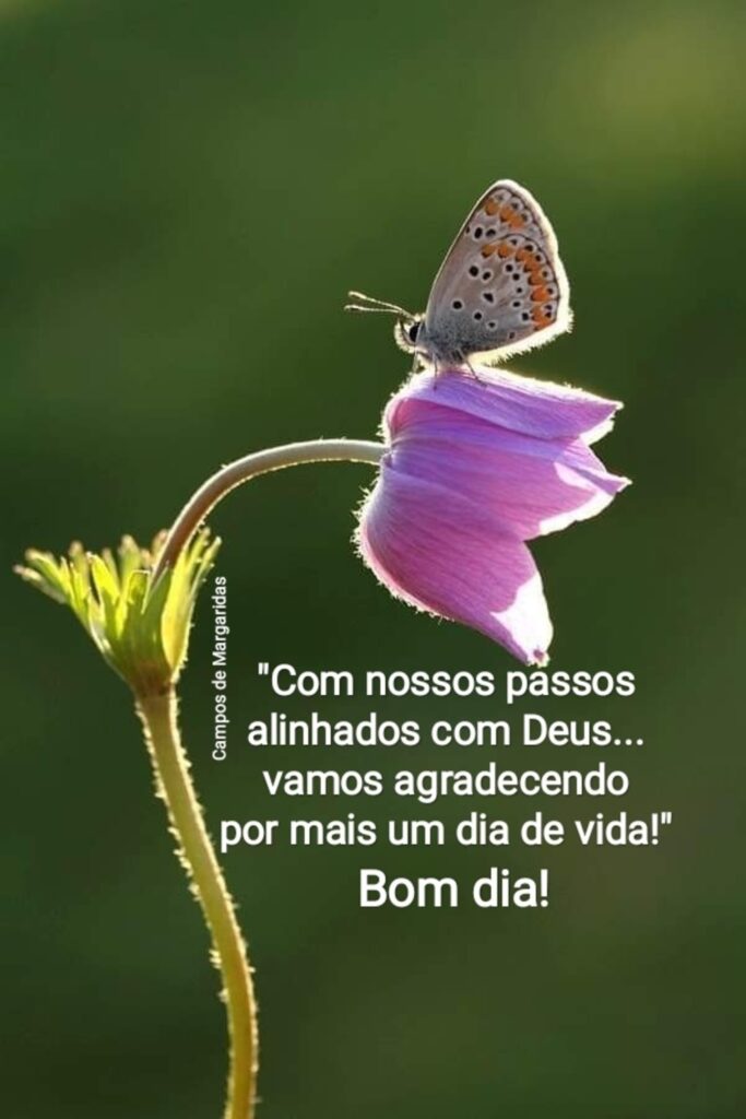 "Com nossos passos alinhados com Deus... vamos agradecendo por mais um dia de vida!" Bom dia!