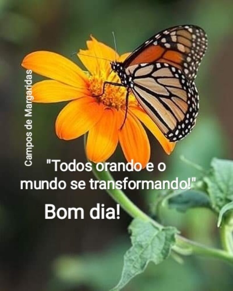 Bom e Feliz Dia amigos