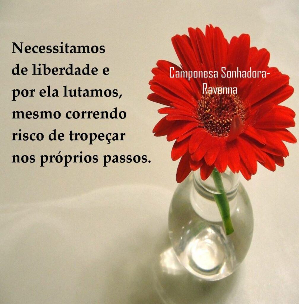 Necessitamos de liberdade e por ela lutamos, mesmo correndo risco de tropeçar nos próprios passos.