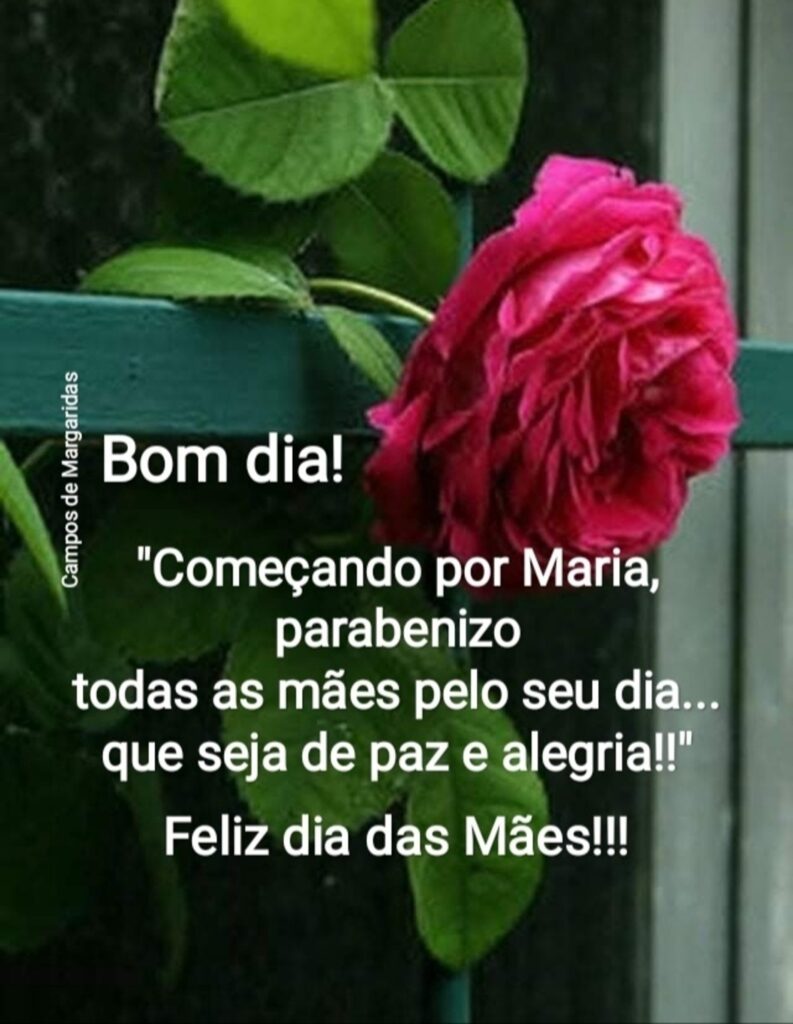 Bom dia! "Começando por Maria, parabenizo todas as mães pelo seu dia... que seja de paz e alegria!!" Feliz dia das Mães!!!