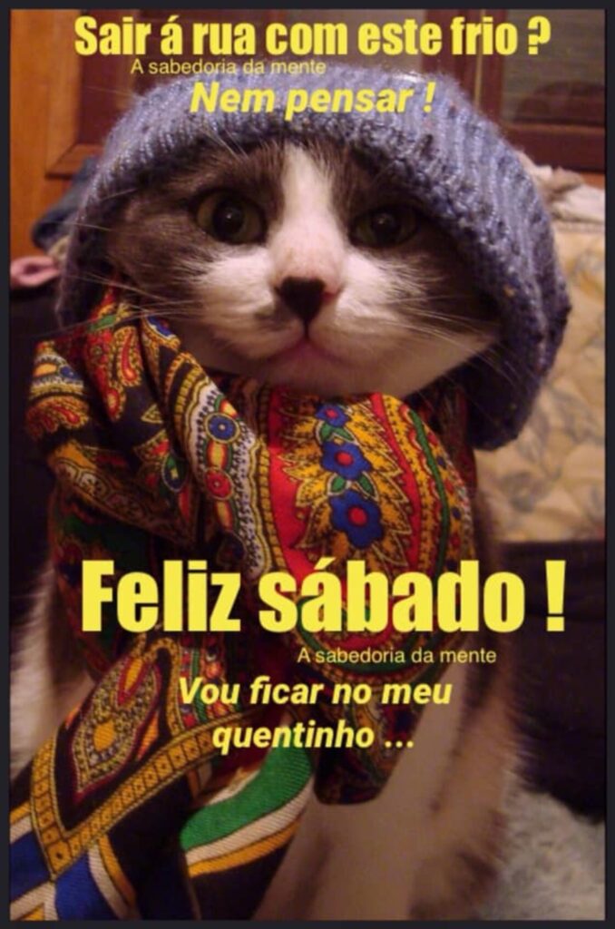 feliz sábado frio