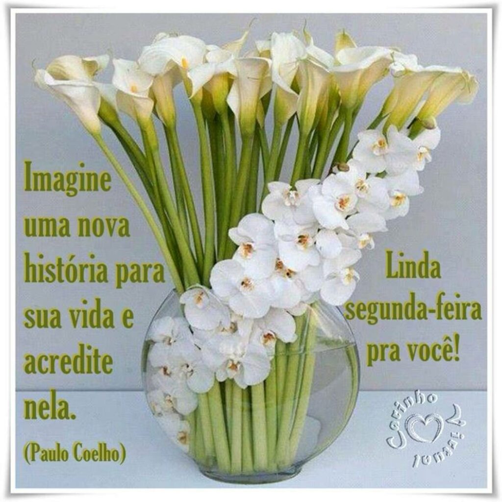 Imagine uma nova história para sua vida e acredite nela. (Paulo Coelho) Linda segunda-feira pra você!