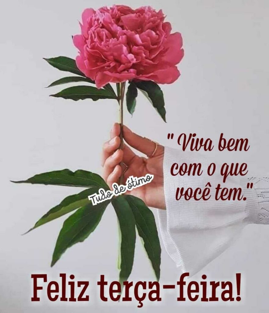 "Viva bem com o que você tem." Feliz terça-feira!