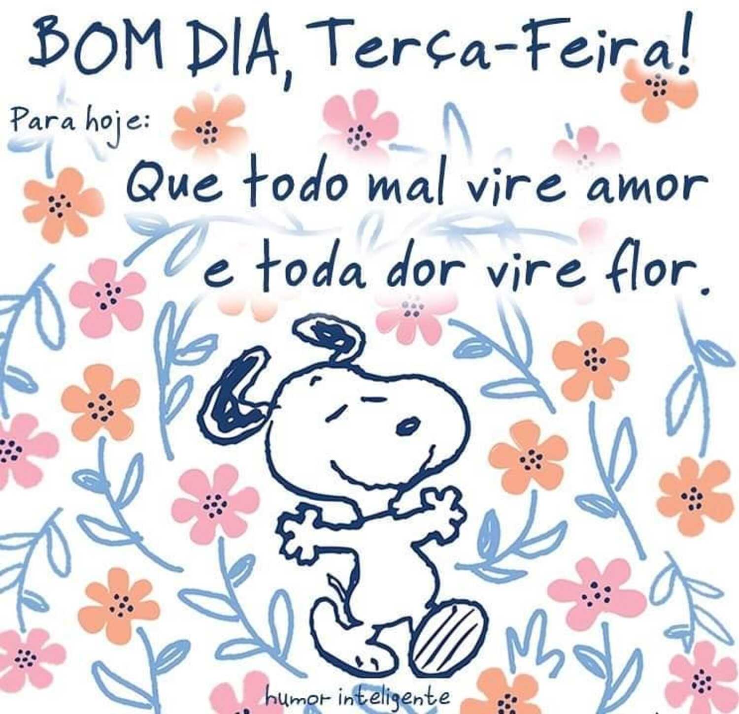 Bom dia e feliz Terça