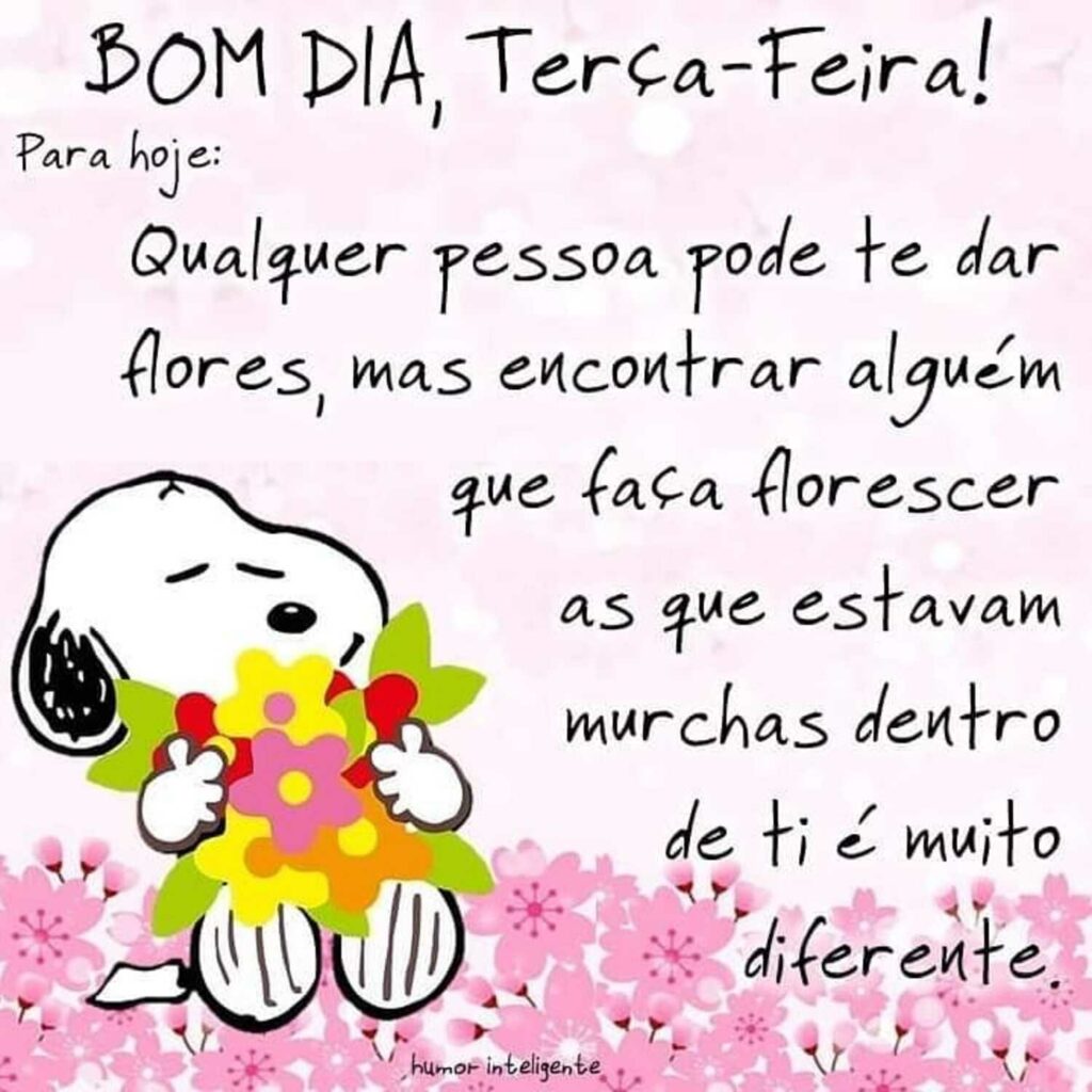 bom dia, terça-feira