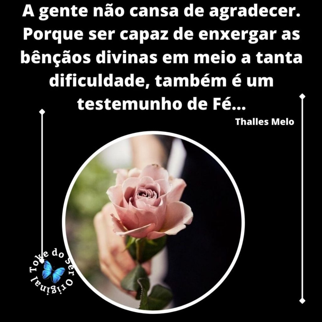 frases para compartilhar