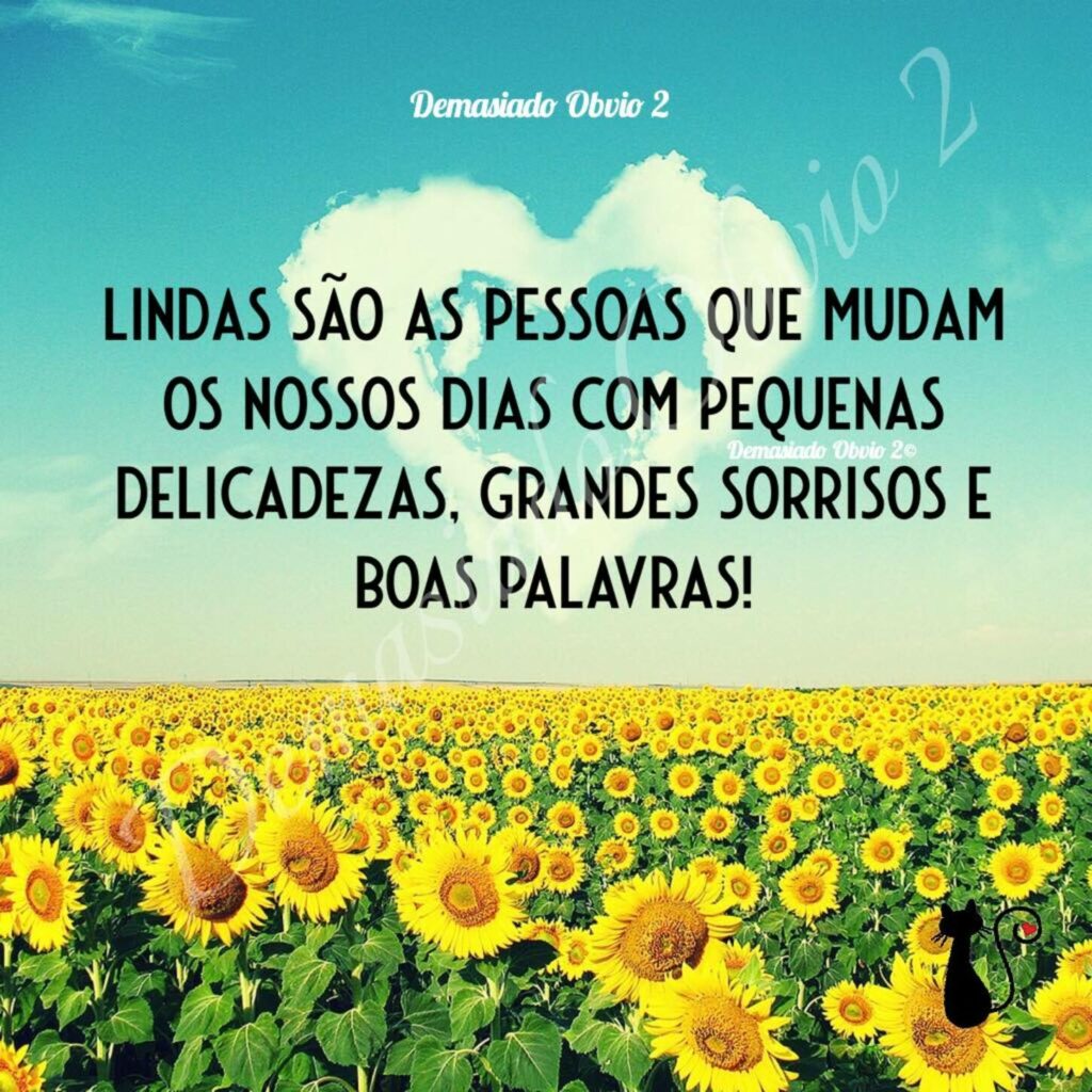 Lindas são as pessoas que mudam os nossos dias com pequenas delicadezas, grandes sorrisos e boas palavras! 🌻