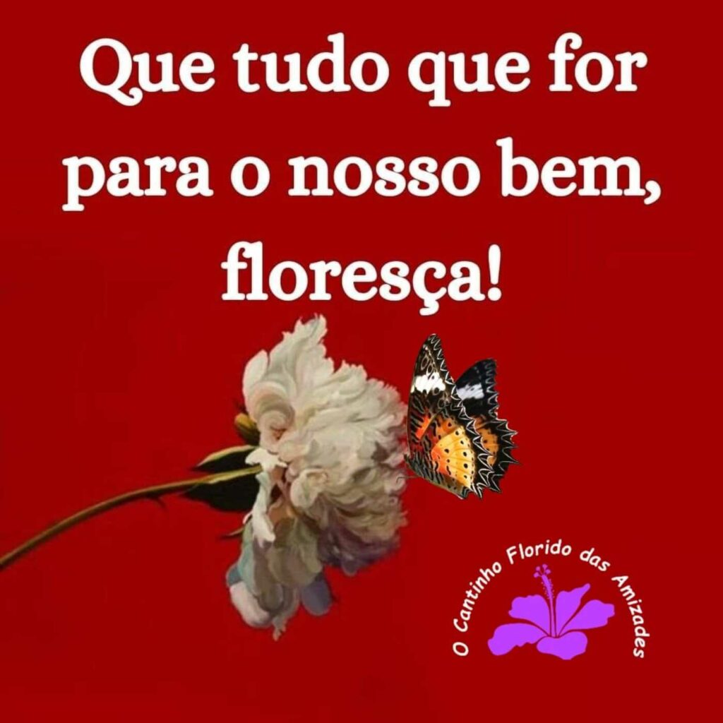 frases curtas e belas
