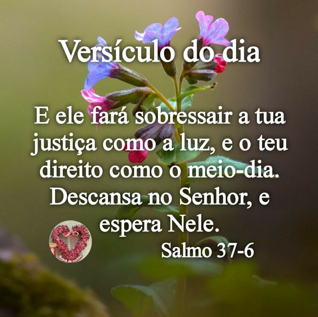 Versículo do dia. E ele fará sobressair a tua justiça como a luz, e o teu direito como o meio-dia. Descansa no Senhor, e espera Nele. - Salmo 37-6