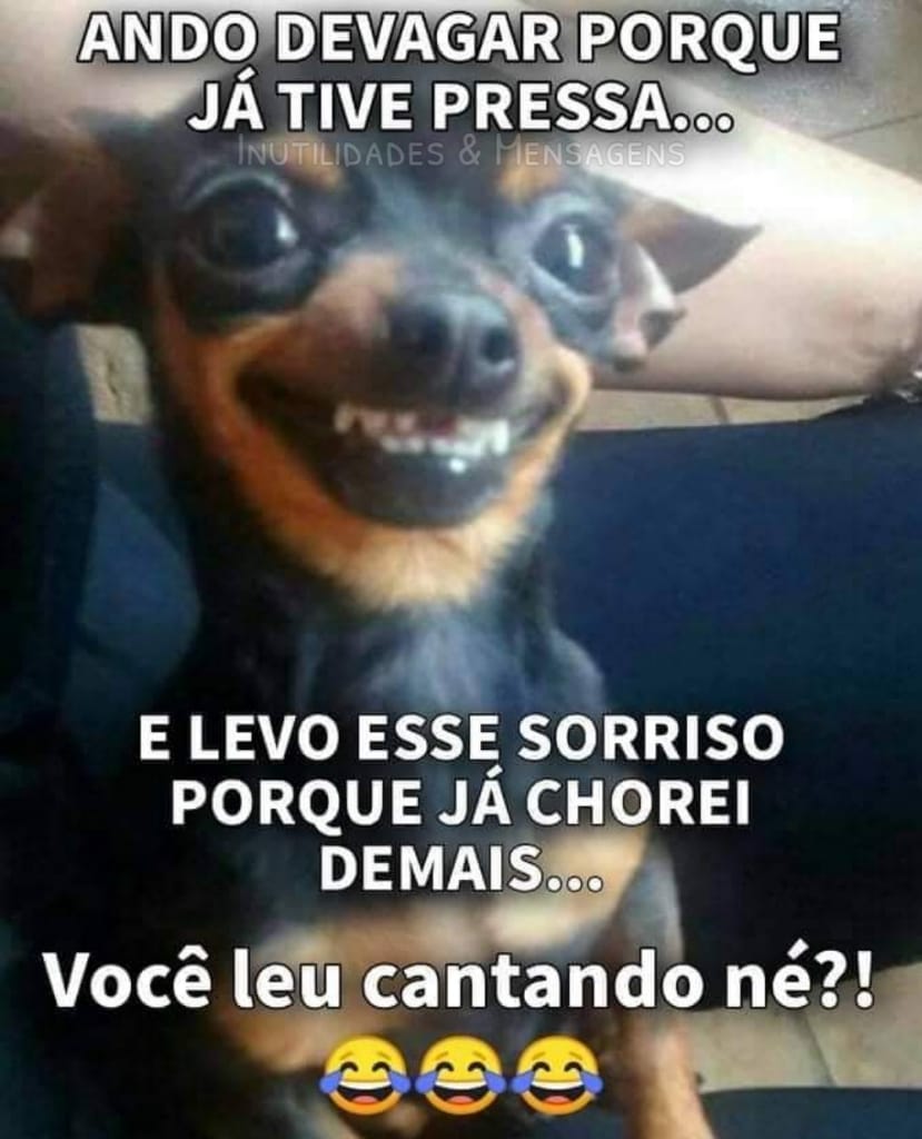 Ando devagar porque já tive pressa... E levo esse sorriso porque já chorei demais... Você leu cantando né?! 😂😂😂