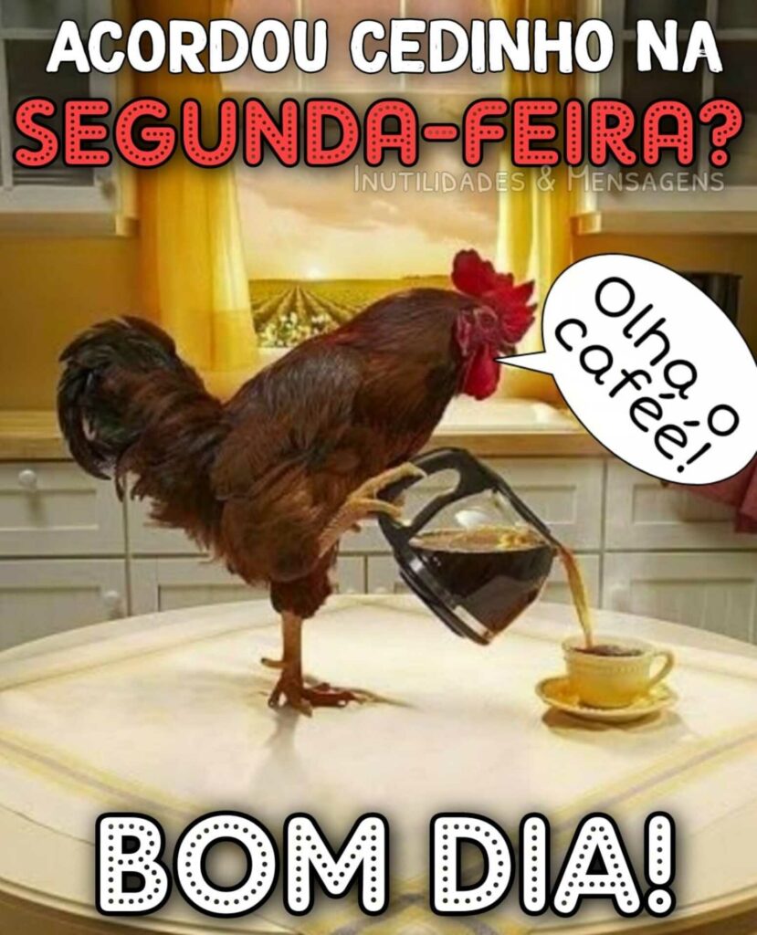 Feliz Segunda imagens engraçadas