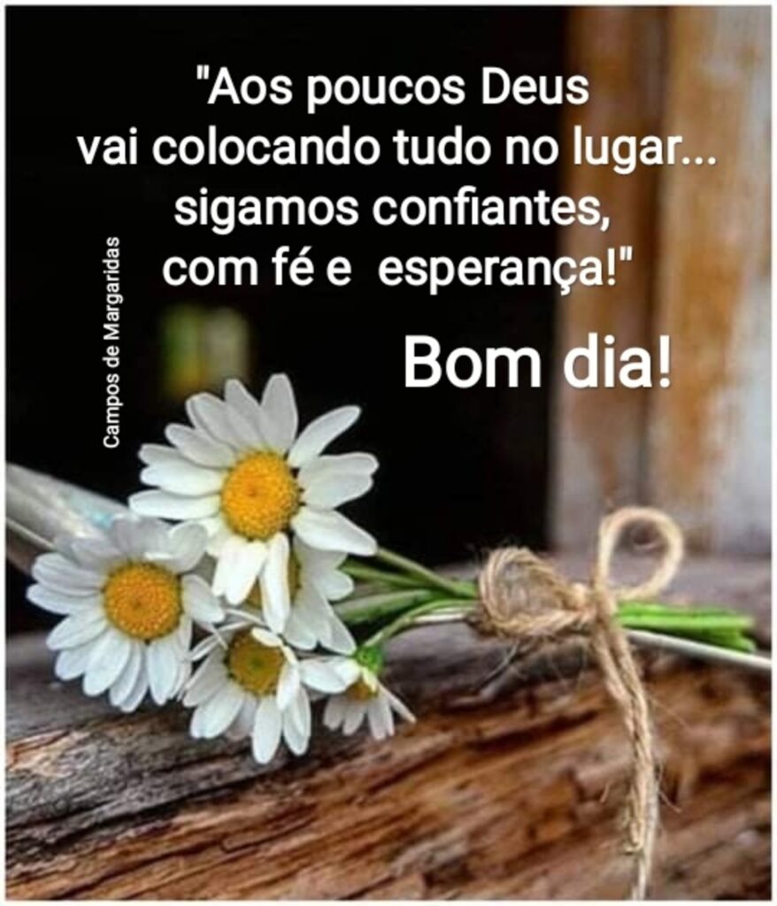 "Aos poucos Deus vai colocando tudo no lugar... sigamos confiantes, com fé e esperança!" Bom dia!