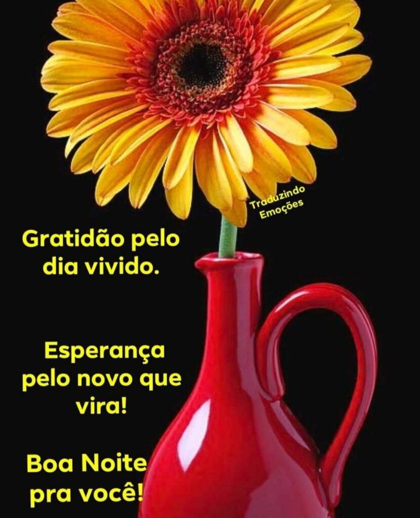 Gratidão pelo dia vivido. Esperança pelo novo que vira! Boa Noite pra você!