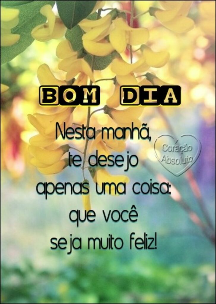 BOM DIA. Neste manhã, te desejo apenas uma coisa: que você seja muito feliz!