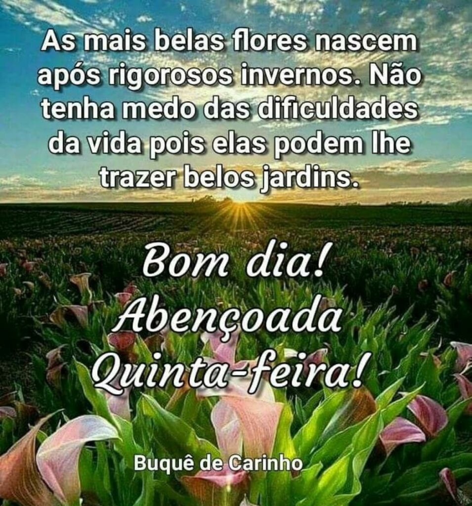 As mais belas flores nascem após rigorosos invernos. Não tenha medo das dificuldades da vida pois elas podem lhe trazer belos jardins. Bom dia! Abençoada Quinta-feira!