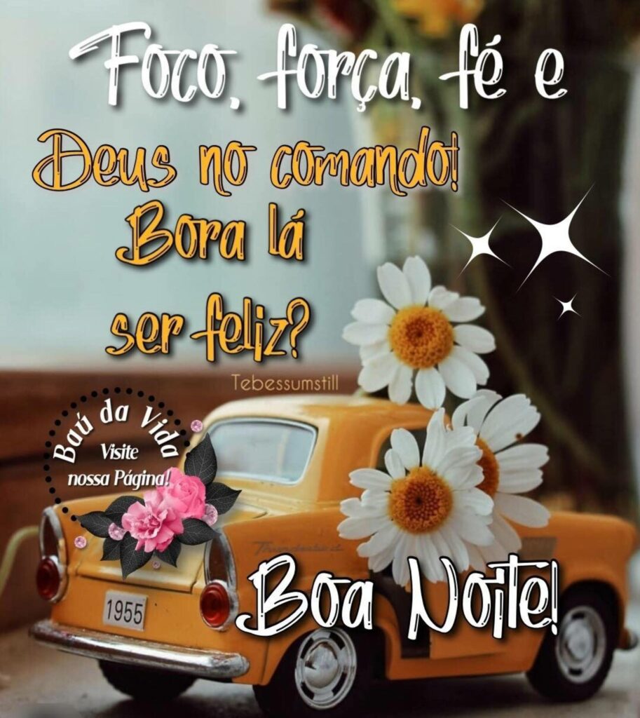 Boa Noite Baú da Vida