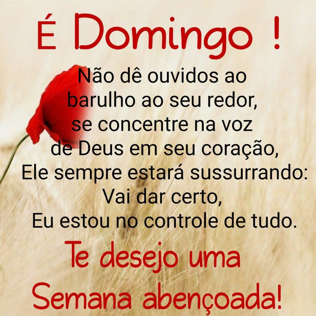 É Domingo! Não dê ouvidos ao barulho ao seu redor, se concentre na voz de Deus em seu coração, Ele sempre estará sussurrando: Vai dar certo, Eu estou no controle de tudo. Te desejo uma Semana Abençoada!