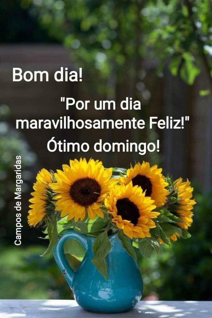 Bom Dia Domingo