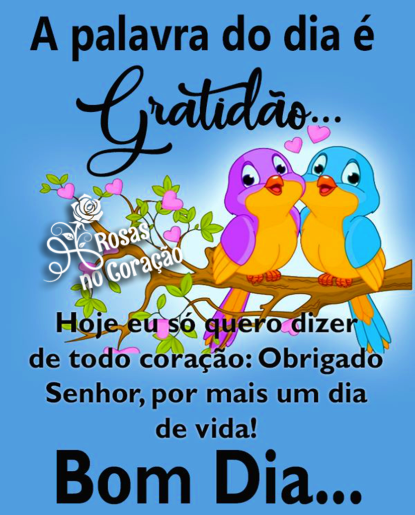 A palavra do dia é Gratidão... Hoje eu só quero dizer de todo coração: Obrigado Senhor, por mais um dia de vida! Bom Dia...