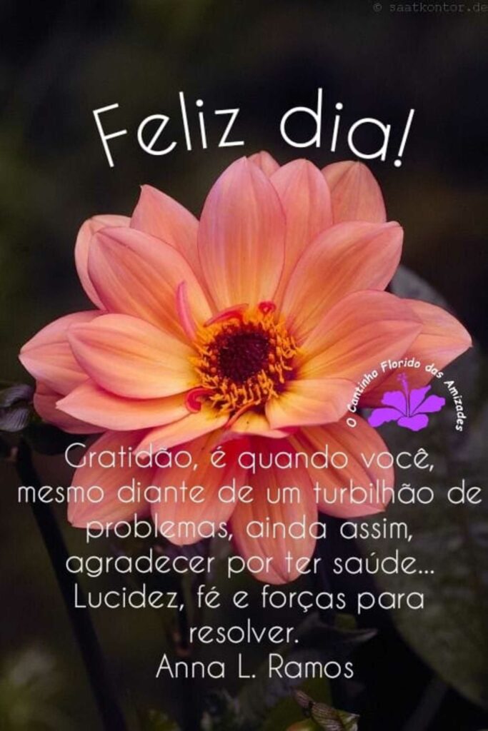 feliz dia