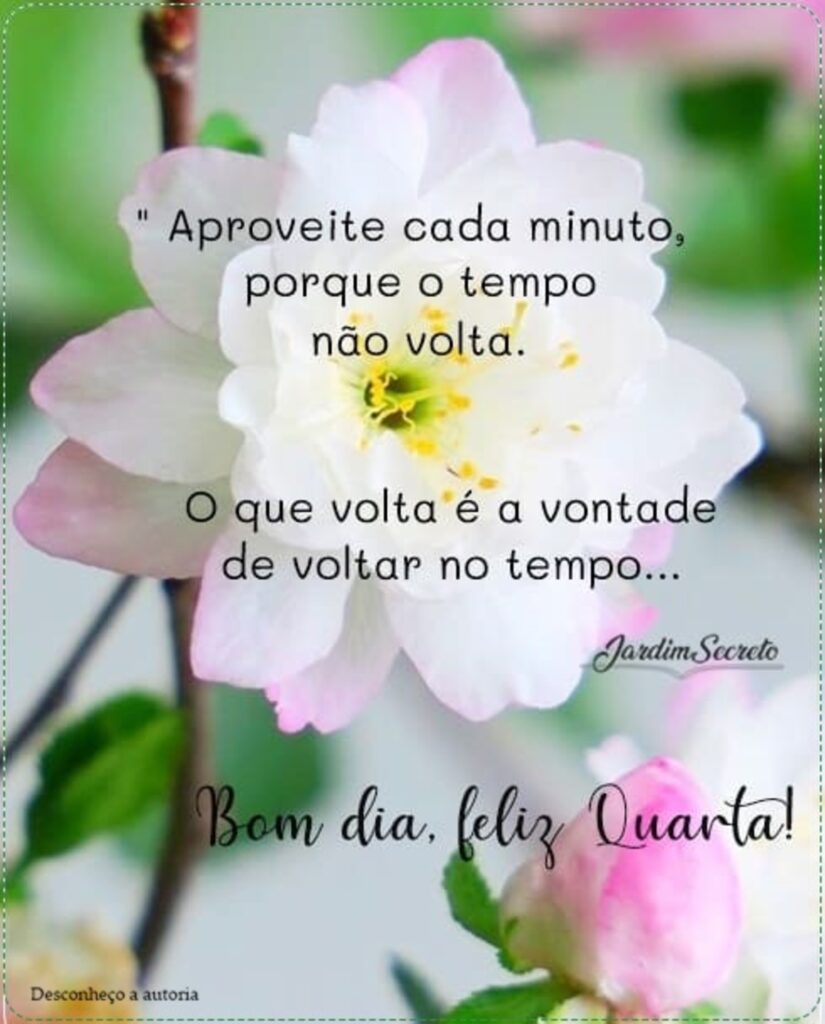 "Aproveite cada minuto, porque o tempo não volta. O que volta é a vontade de voltar no tempo..." Bom dia, feliz Quarta!