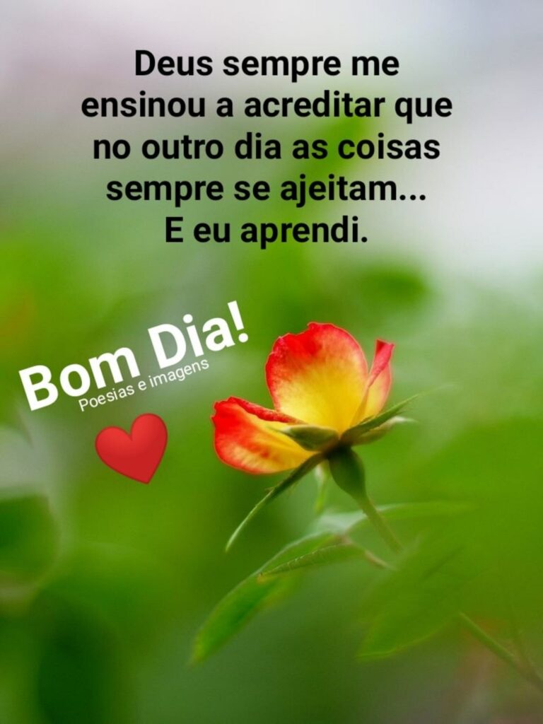 Deus sempre me ensinou a acreditar que no outro dia as coisas sempre se ajeitam... E eu aprendi. Bom Dia! (Poesias e imagens)