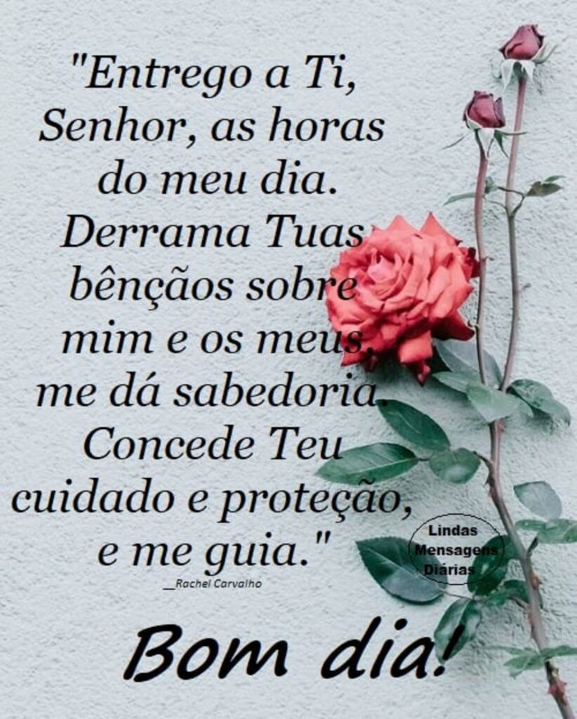 "Entrego a Ti, Senhor, as horas do meu dia. Derrama Tuas bênçãos sobre mim e os meus, me dá sabedoria. Concede Teu cuidado e proteção, e me guia." Bom dia!