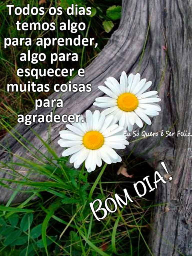 Todos os dias temos algo para aprender, algo para esquecer e muitas coisas para agradecer. BOM DIA! (Eu Só Quero é Ser Feliz)