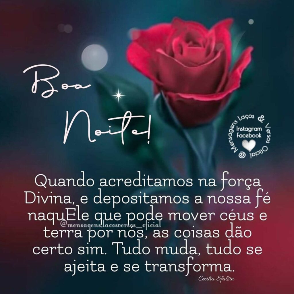 Boa Noite! Quando acreditamos na força Divina, e depositamos a nossa fé naquele que pode mover céus e terra por nos, as coisas dão certo sim. Tudo muda, tudo se ajeita e se transforma.