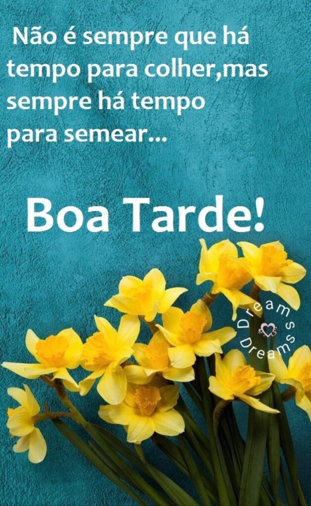 Não é sempre que há tempo para colher, mas sempre há tempo para semear... Boa Tarde!