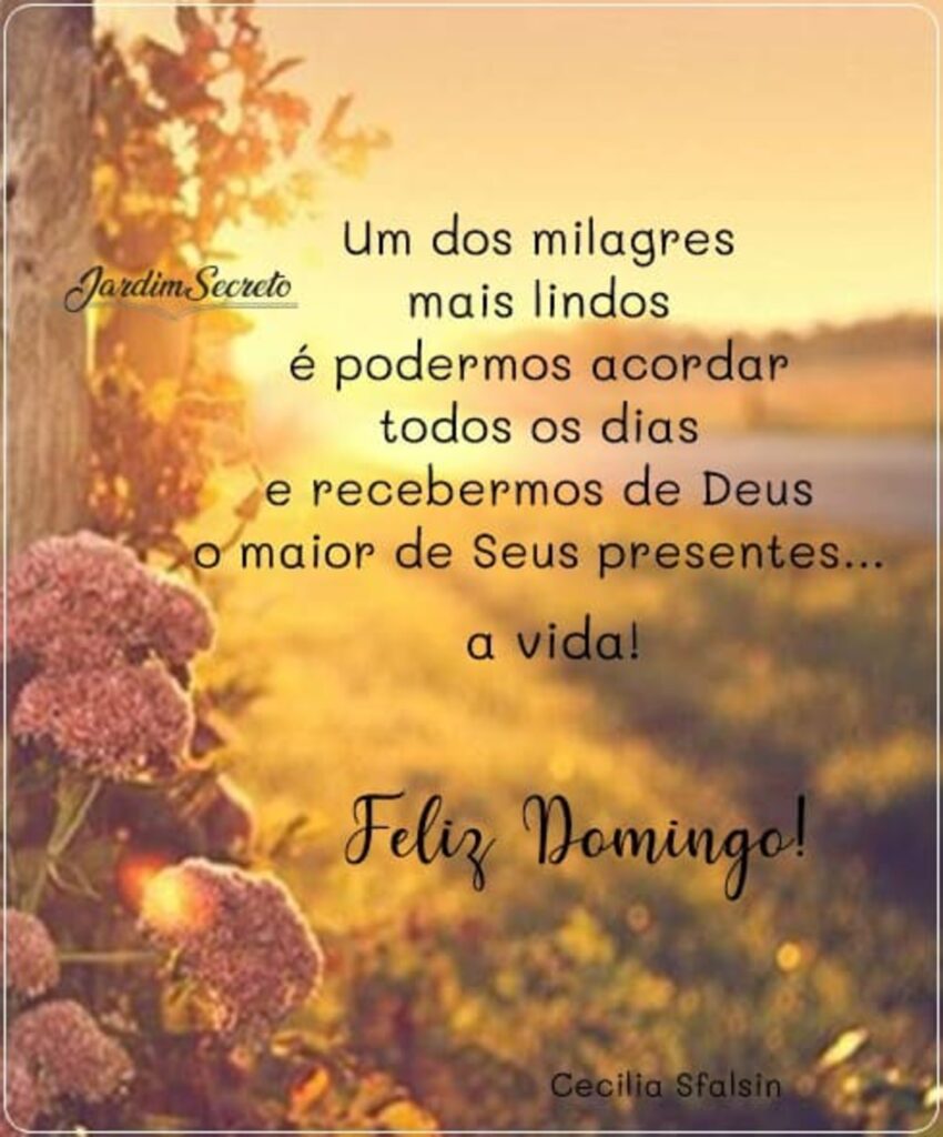 Um dos milagres mais lindos é podermos acordar todos os dias e recebermos de Deus o maior de Seus presentes... a Vida! Feliz Domingo!