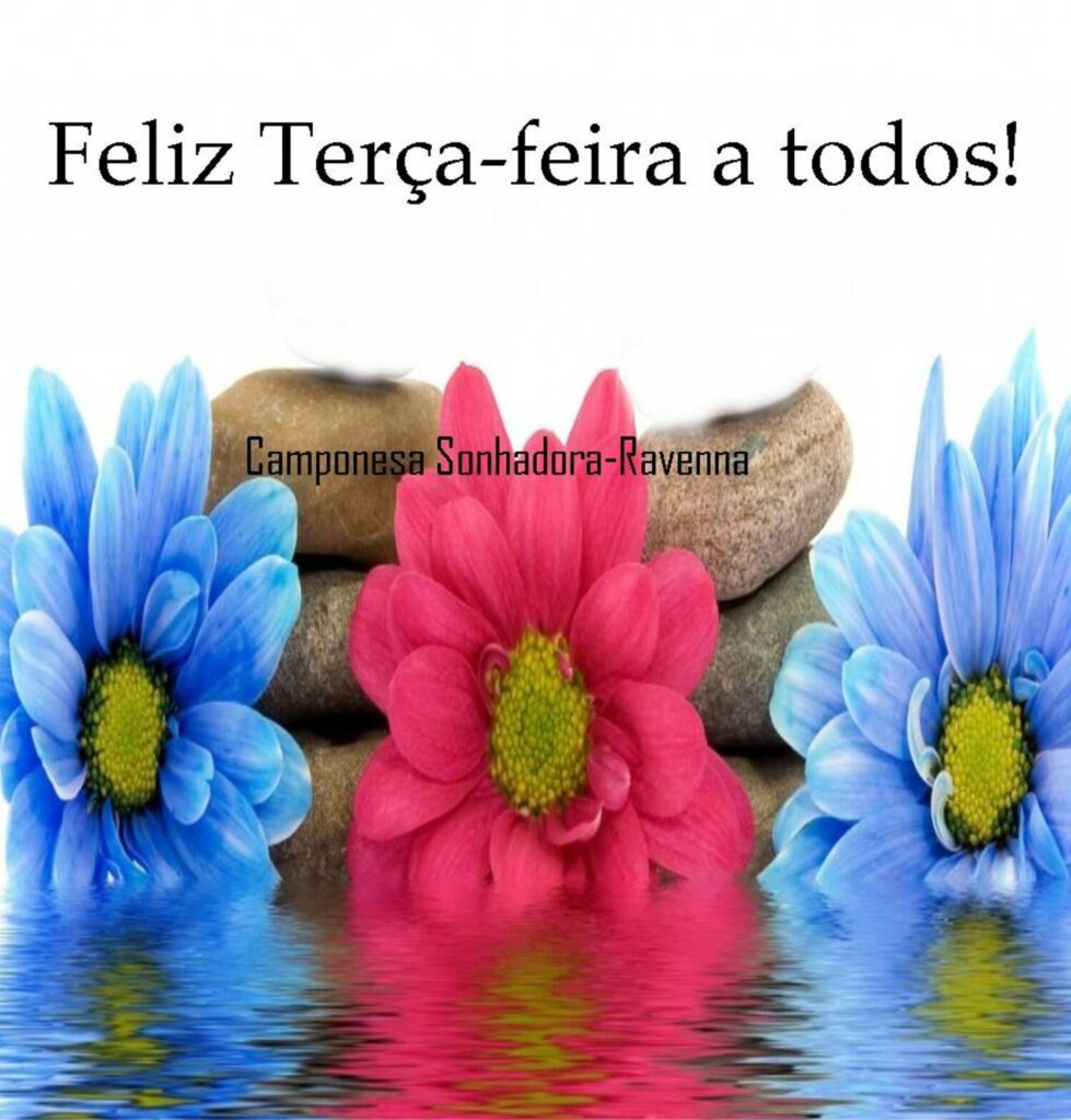 Feliz Terça-feira a todos!