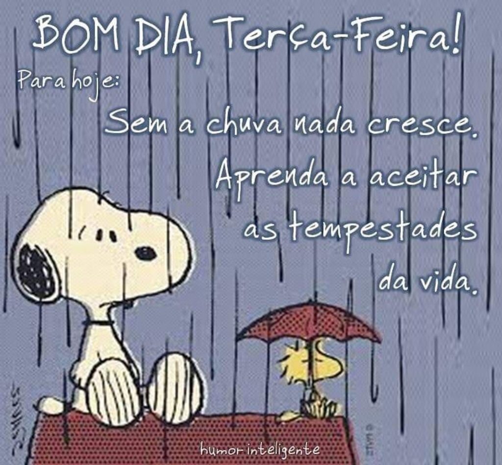 Feliz terça-feira com chuva