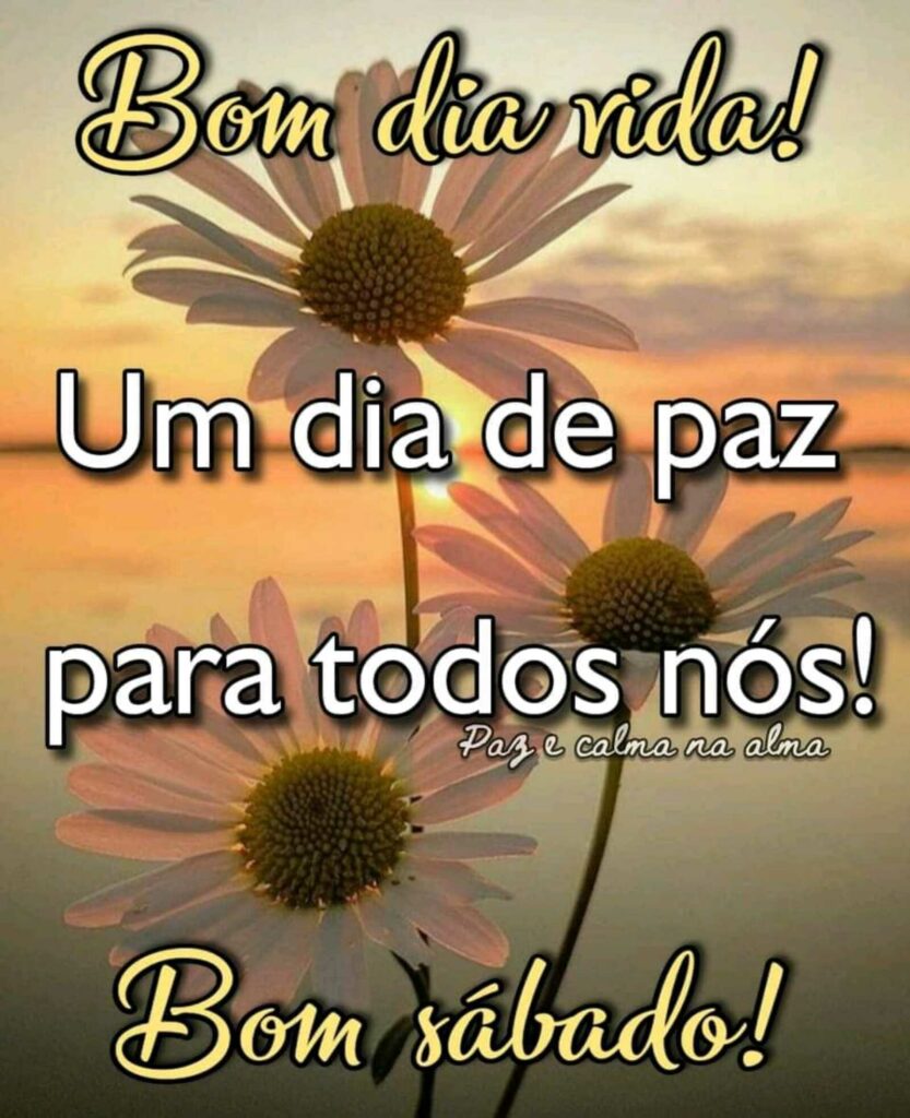 Bom dia vida! Um dia de paz para todos nós! Bom sábado!