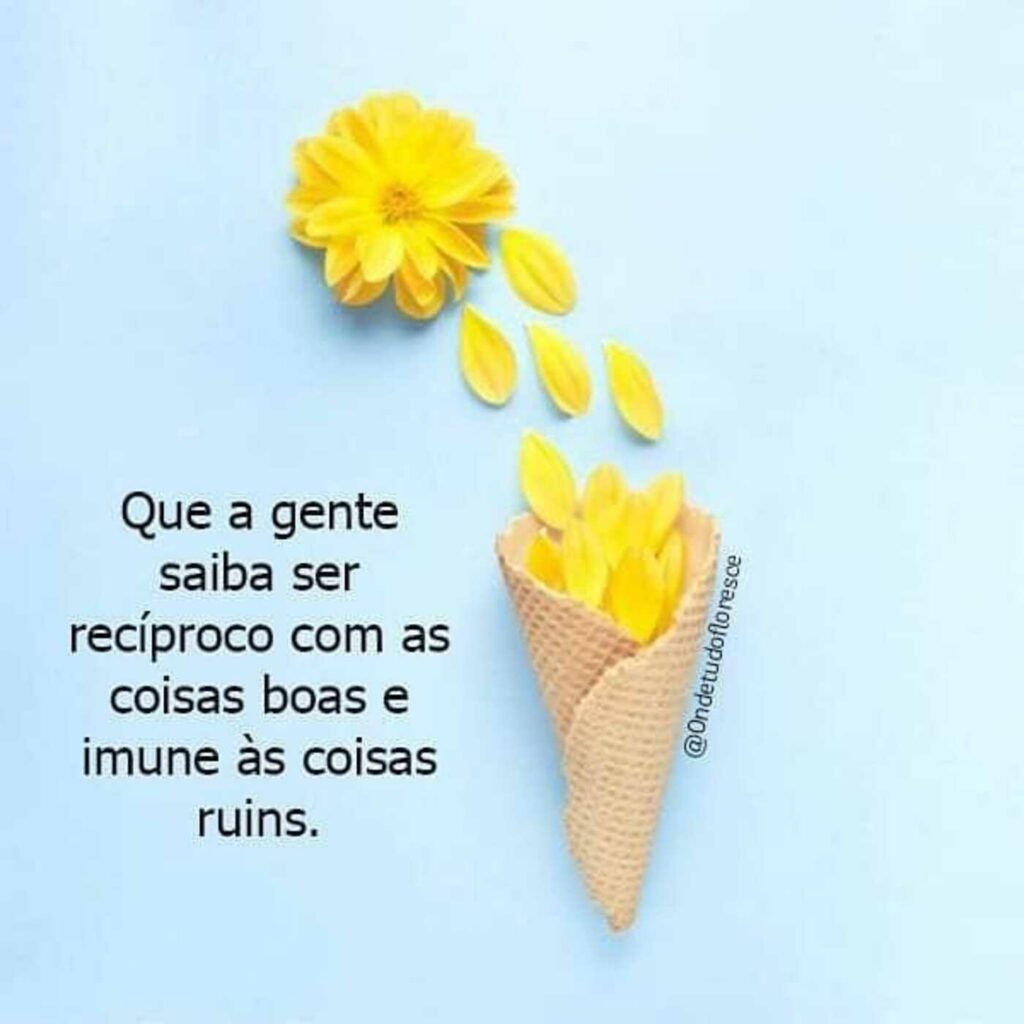 Frases curtas