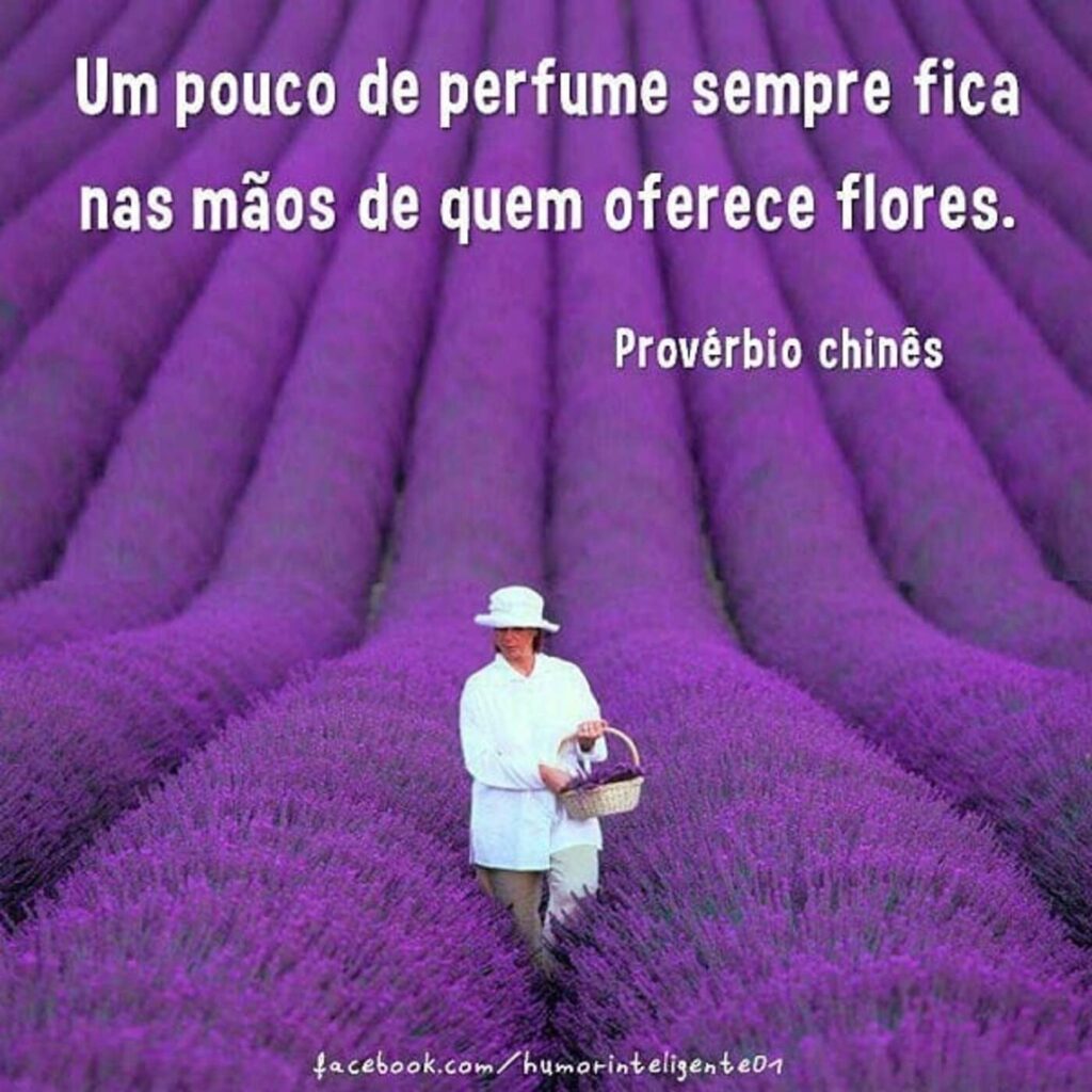 "Um pouco de perfume sempre fica nas mãos de quem oferece flores." - Provérbio chinês