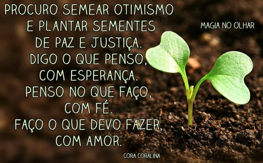 Procuro semear otimismo e plantar sementes de paz e justiça. Digo o que penso, com esperança. Penso no que faço, com fé. Faço o que devo fazer, com amor.