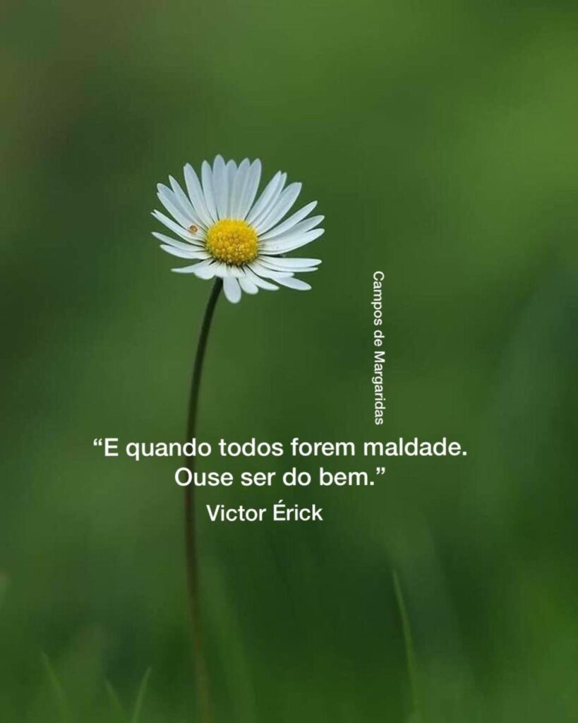 "E quando todos forem maldade. Ouse ser do bem." - Victor Érik