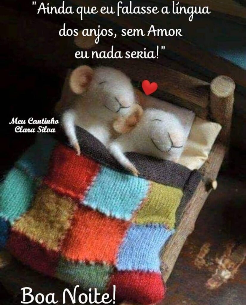 "Ainda que eu falasse a língua dos anhos, sem Amor eu nada seria!" Boa Noite!