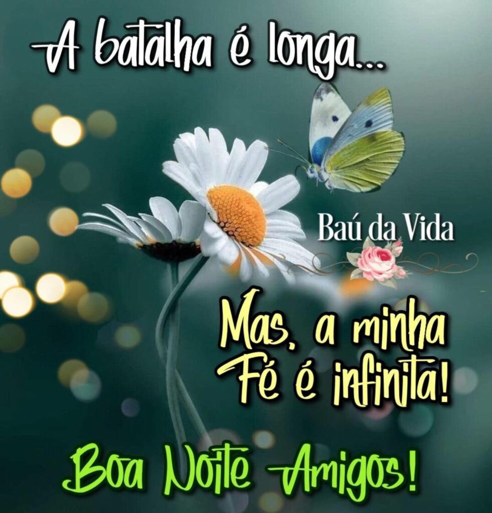 boa noite amigos